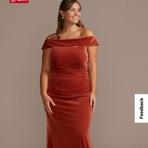 David’s Bridal Velvet Off the Shoulder Bridesmaid Dress in Cinnamon